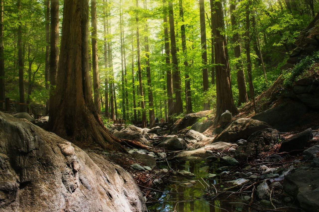 A Nature Lover’s Guide to UNESCO World Heritage Sites in Southeast Asia